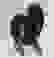 item-58221811=3