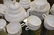 27 Piece Rosenthal White Porcelain Tea Service. Teapot - 2