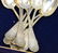 32 pcs. Bachelders & Co. sterling flatware, 48 ozt AND - 5