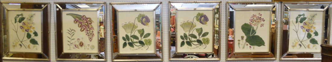 6 oversized botanical prints in mirrored, silvered (1 of 7)