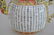 Antique Satsuma charger bowl, 4 medallions surround - 11