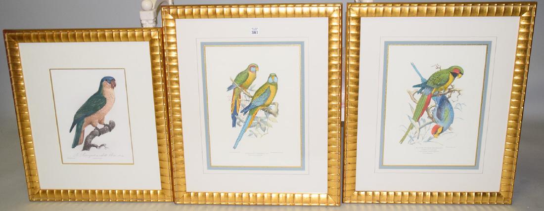 3 decorative colored bird prints in gilt frames. image (1 of 9)