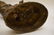 THREE ANTIQUE HINDU & BUDDHIST BRONZE STATUES - - 10