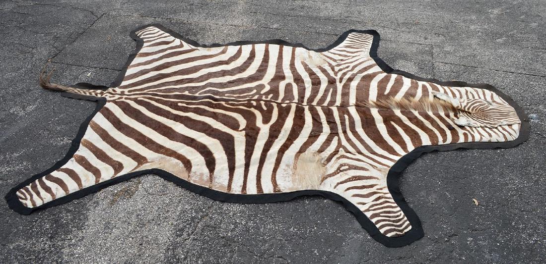 Zebra Skin Rug 9' x 5'.  Condition: good with minor (1 of 5)
