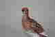 item-70193926=2