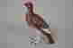 item-70193926=3