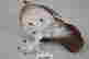 item-70193926=6