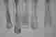 item-70194247=2
