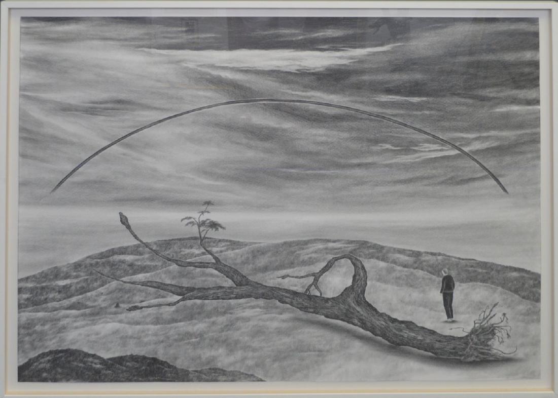 Robyn O'Neil (AMERICAN, 1977) graphite on paper, "He (1 of 4)