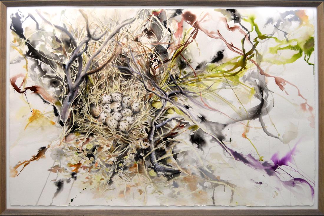 Violet Hopkin Watercolor of Birds Nest 40 x 60 inches.: Violet Hopkins (AMERICAN, 1973) Watercolor of Birds Nest, signed on reverse 40 x 60 inches. framed under plexi-glass.Purchased from David Kordansky Gallery 12/20/2004