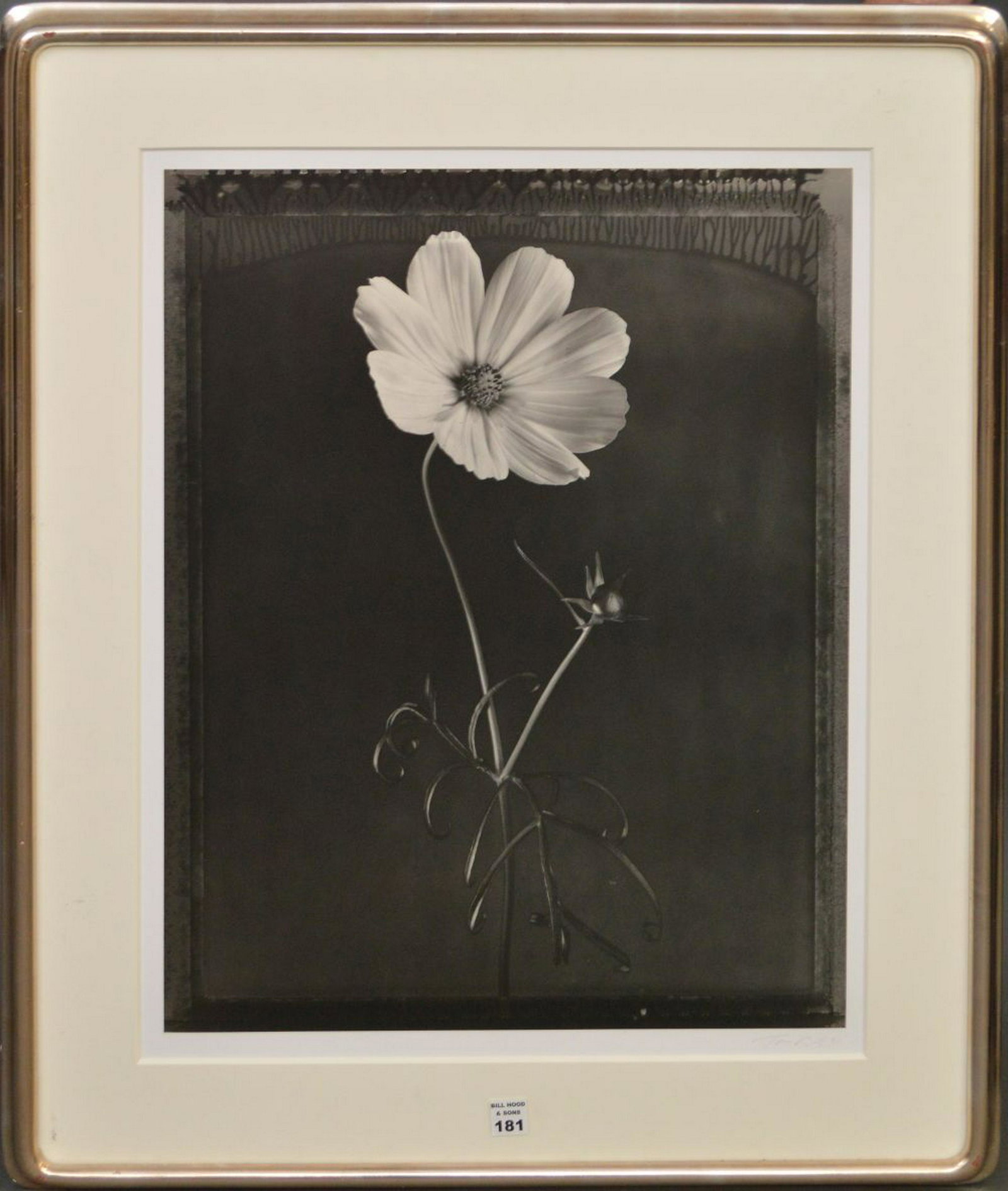 Tom Baril (American, b. 1952) Photograph, COSMOS -1998, (1 of 6)