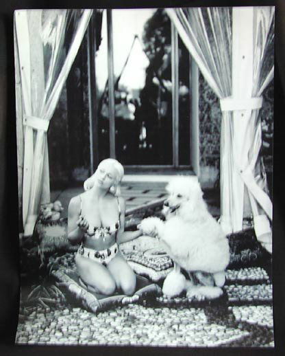 BRUCE WEBER photograph of Madonna with poodle by s: BRUCE WEBER photograph of Madonna with poodle by swimming pool, unsigned attribution, 13 3/4" x 10 1/2".