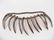 Pre-Columbian Abalone Shell Necklace, Large Carved - 3