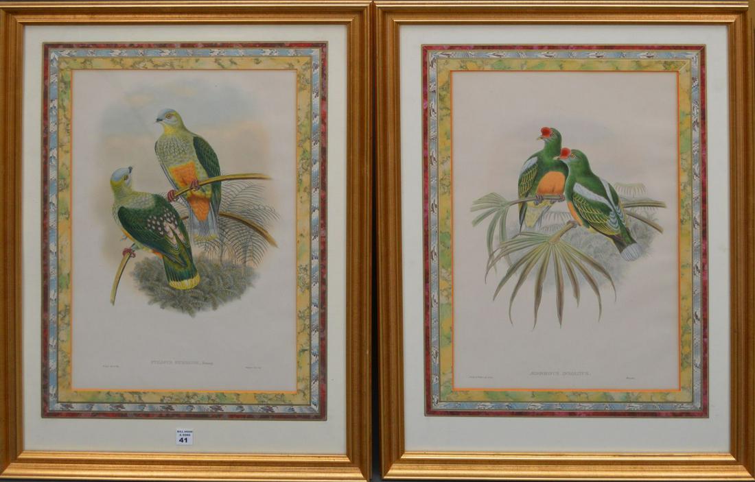 Pair of J. Gould colored bird prints, 20-1/2 x 14 (1 of 6)