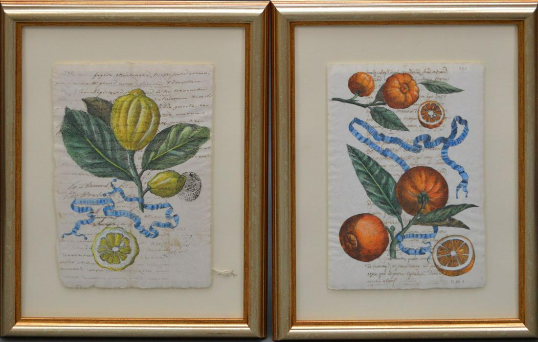 Lot of Two Hand Colored Engravings of Botanical Lemons (1 of 5)