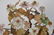Lot Antique Chinese Porcelain Articles with 2 Hard - 6