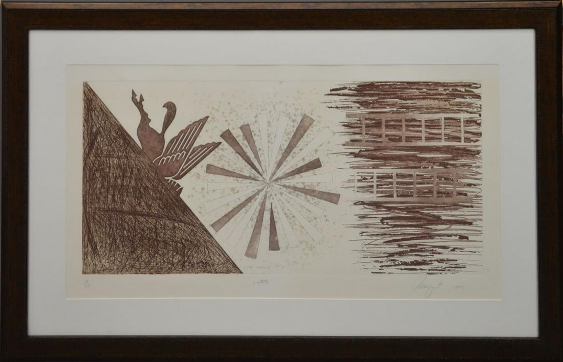 James Rosenquist (American 1933 - 2017) Etching: James Rosenquist (American 1933 - 2017) Etching "STAR LADDER" 1978, edition 10/78, image 35-3/4 x 17-3/4 inches frame 50 x 33 inches