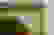 item-91069920=2