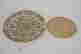 item-99262963=6