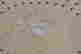item-99262963=8