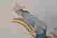 item-103515646=2