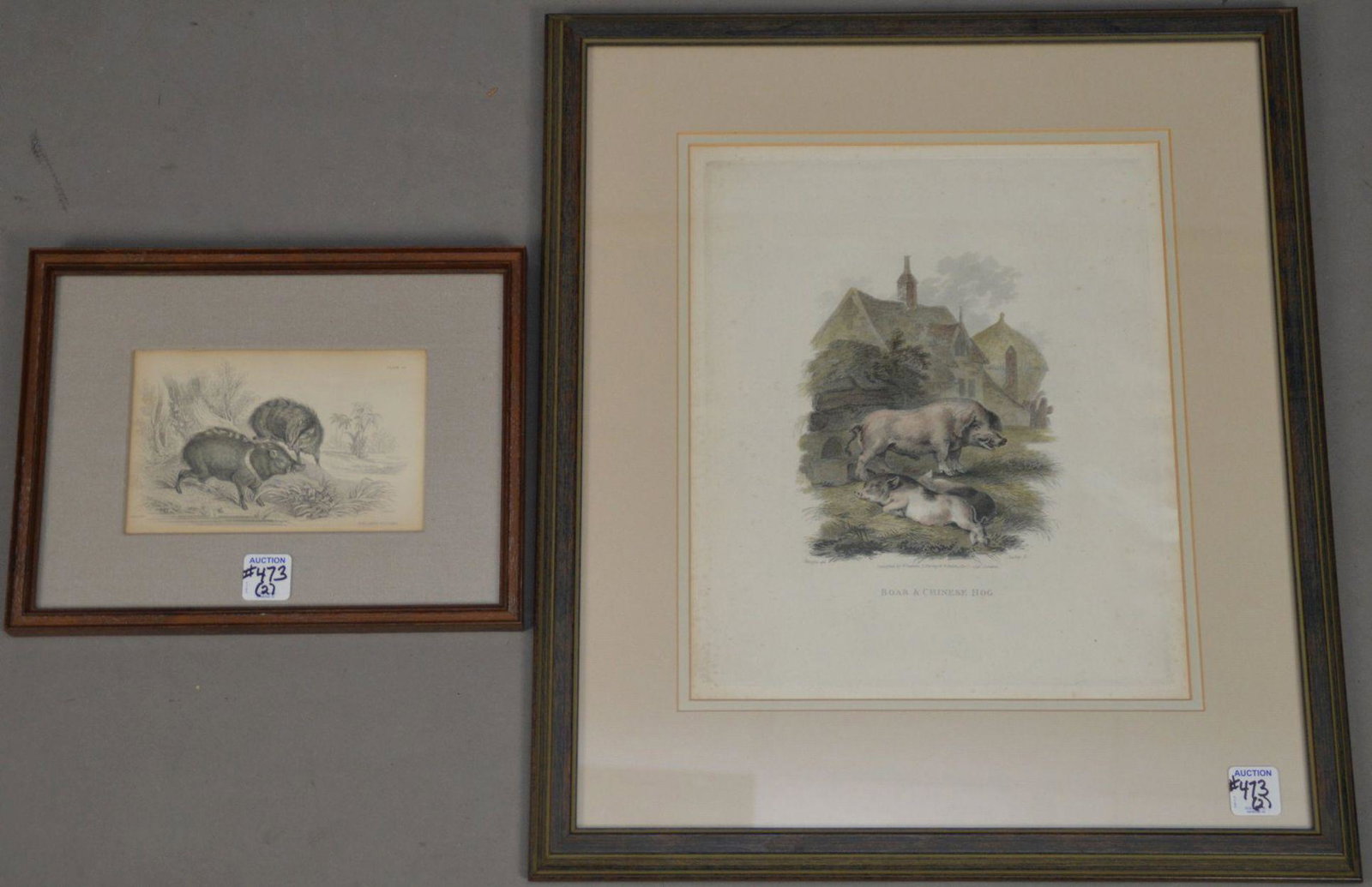 TWO 19th CENTURY FRAMED NATURALIST ETCHINGS OF PECCARY (1 of 6)