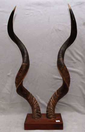 286: Large pair of mounted African animal horns, 32"h x