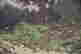 item-121094745=3