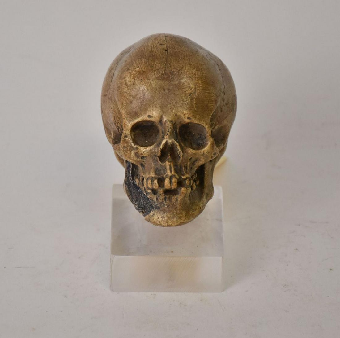 17th Century Memento Mori Gesso Carving of a Skull, 4 1/2 in. on Base. (1 of 4)