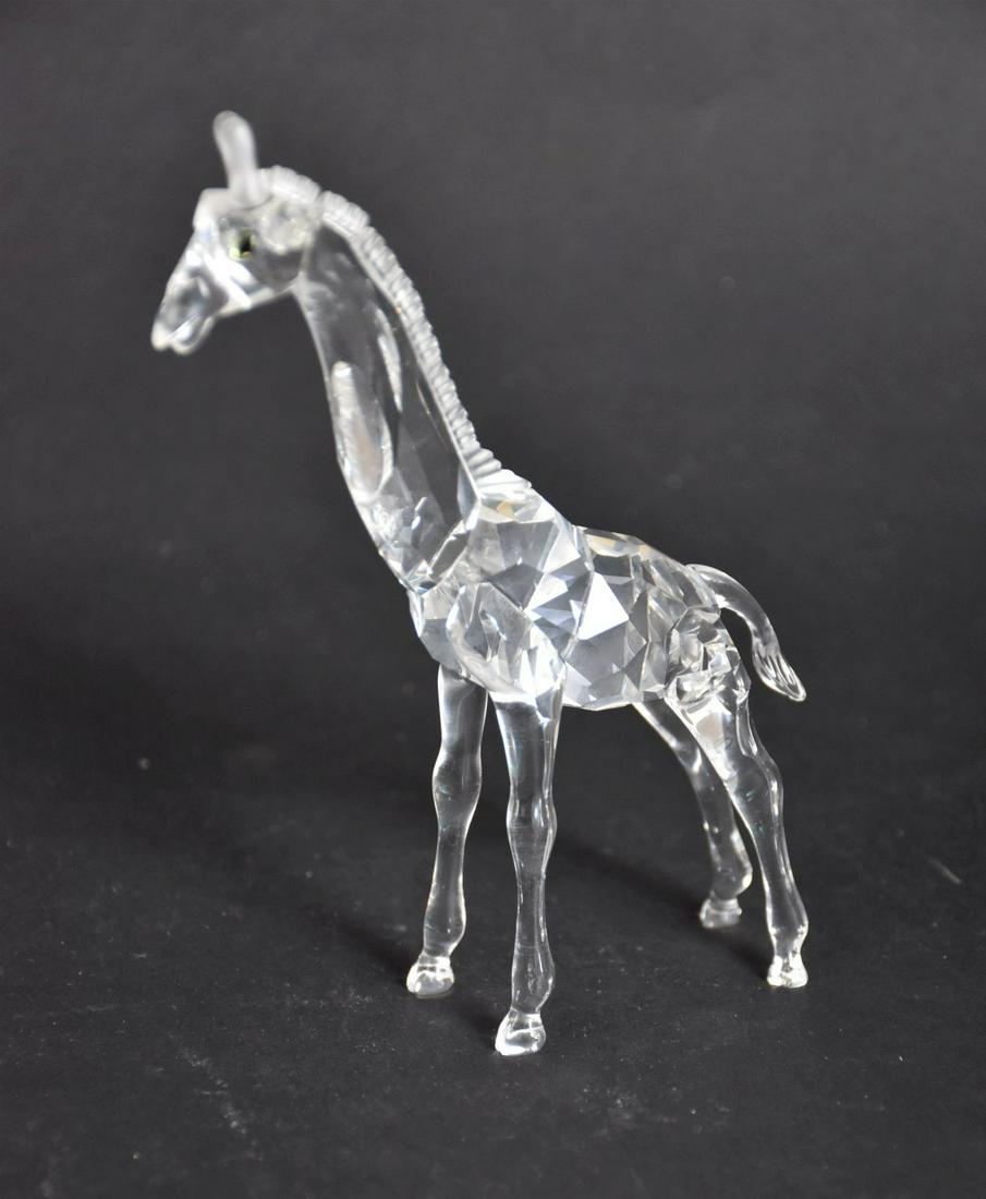 Swarovski Giraffe-Baby - Boxed African Wildlife. Size 5.5" in great condition: Swarovski Giraffe-Baby - Boxed African Wildlife. Size 5.5" in great condition