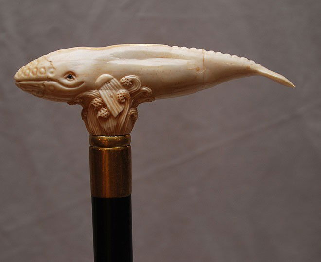 Marine ivory whale handled walking stick, 35"L: Marine ivory whale handled walking stick, 35"L