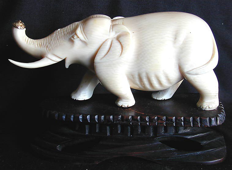 ANTIQUE IVORY ELEPHANT W/ GOLD A solid ivory carvi: ANTIQUE IVORY ELEPHANT W/ GOLD A solid ivory carving of an elephant mounted on a carved wood stand, missing right tusk and trunk capped with a semi circle of gold, measurements with stand: 5"L x 3.5"H