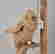 item-148795215=3