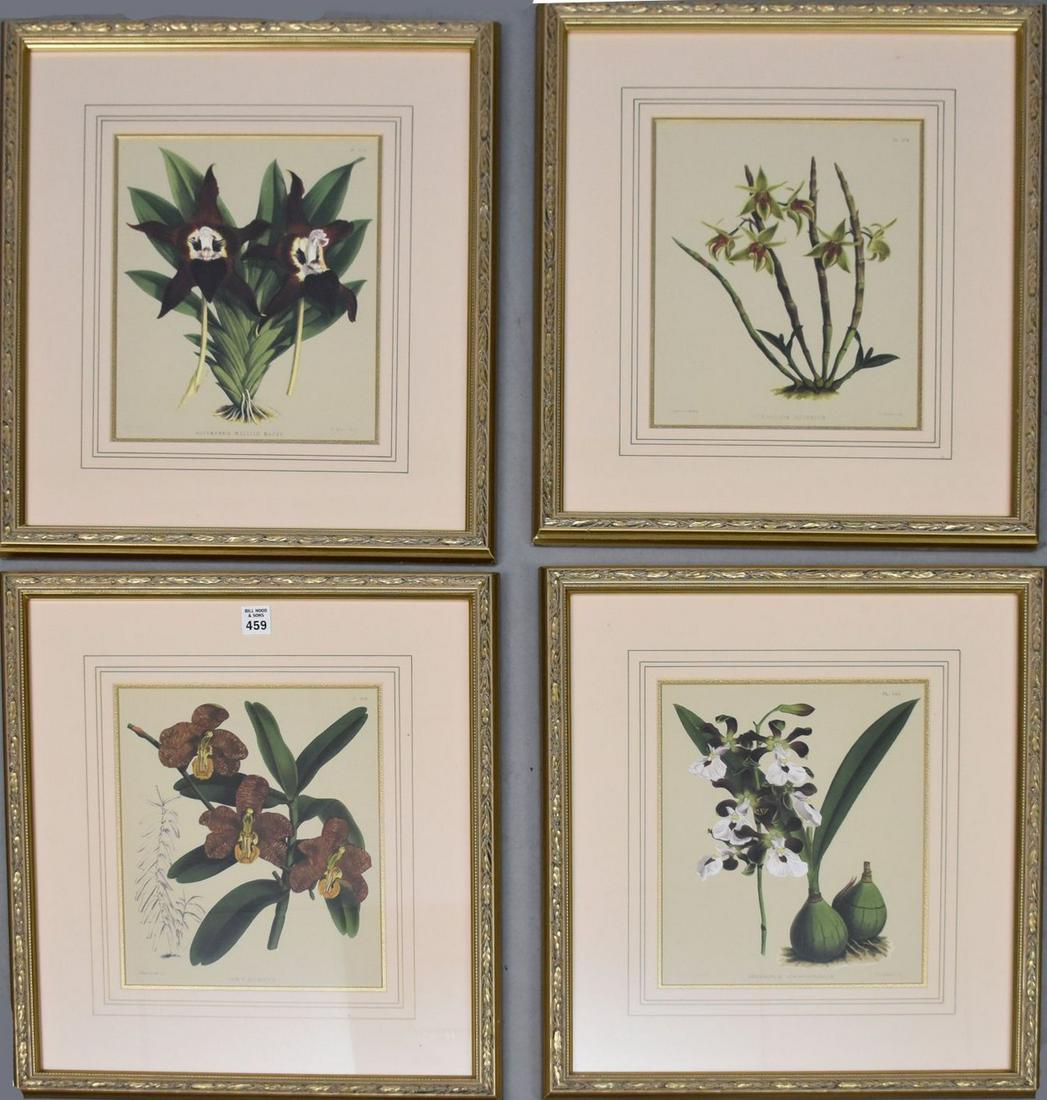 4 framed decorative orchid prints, 11" x 9", 20" x 17 1/2" (1 of 5)