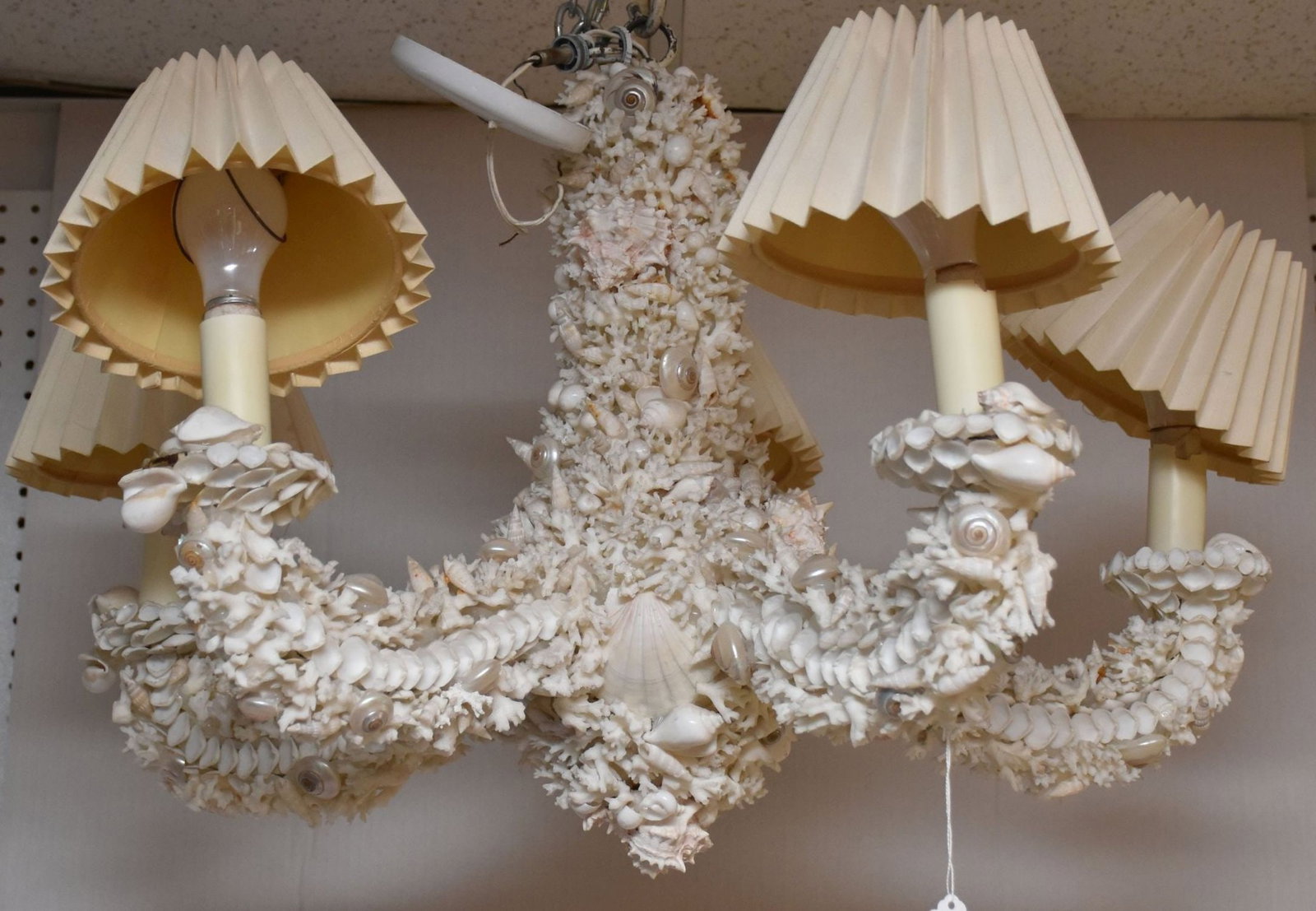 Custom 5 Light Shell Chandelier, 17"h x 27"w: Custom 5 Light Shell Chandelier, 17"h x 27"w