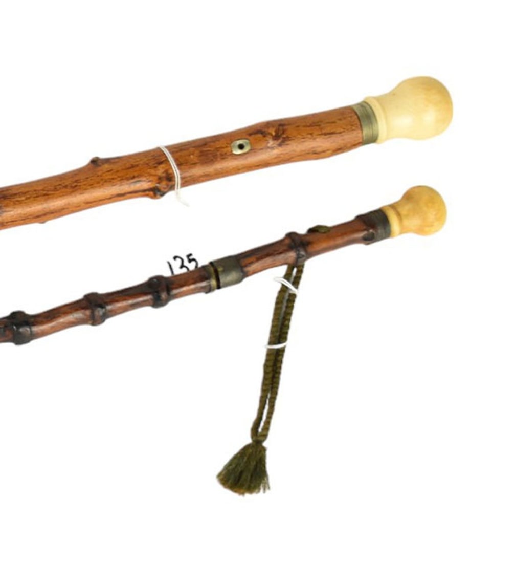 Two Antique Continental Walking Sticks, Sword Cane - Two walking sticks, c. 19th century. Both with (1 of 14)