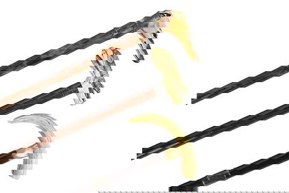 Three Antique Walking Sticks Canes with Carved Handles - Group comprises: A) Dog Head cane, Sterling (1 of 12)