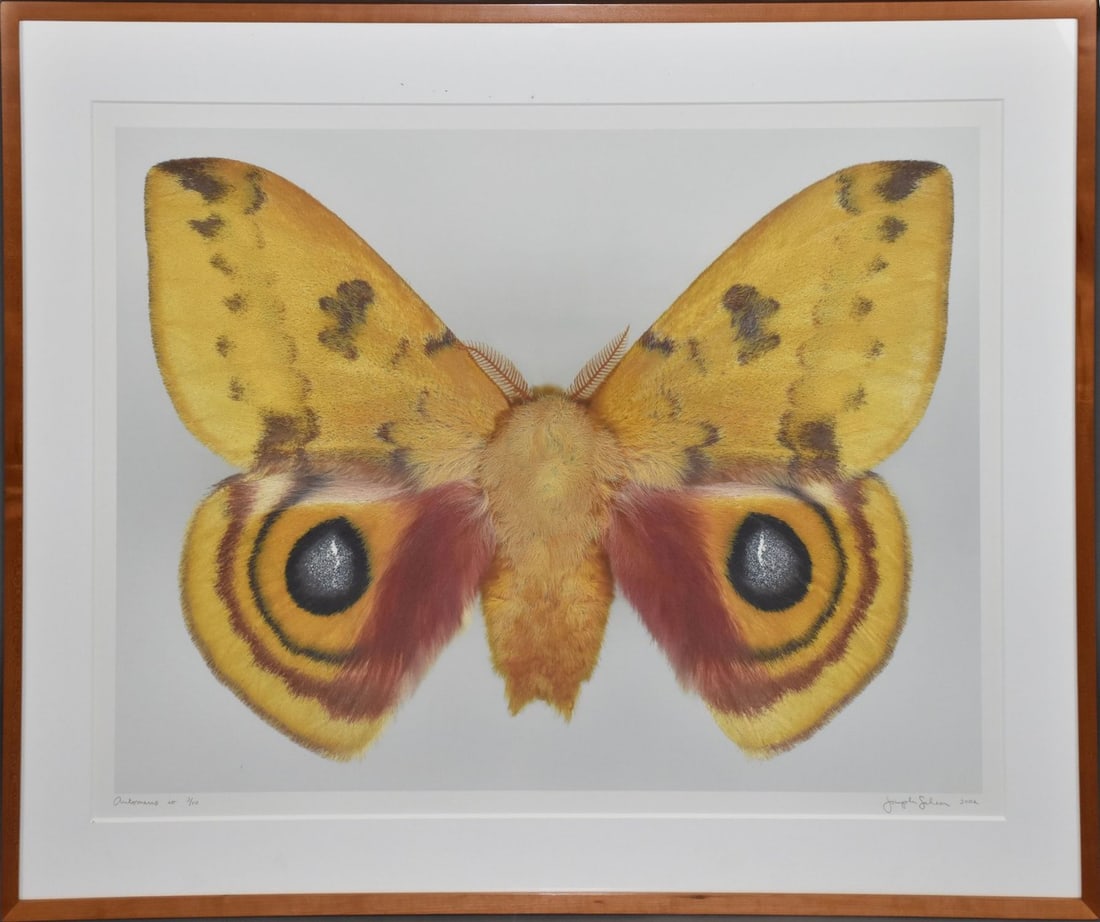 Dr. Joseph Scheer (German/American, B. 1958)  Digital print on heavy watercolor paper, Automeris Io (1 of 6)
