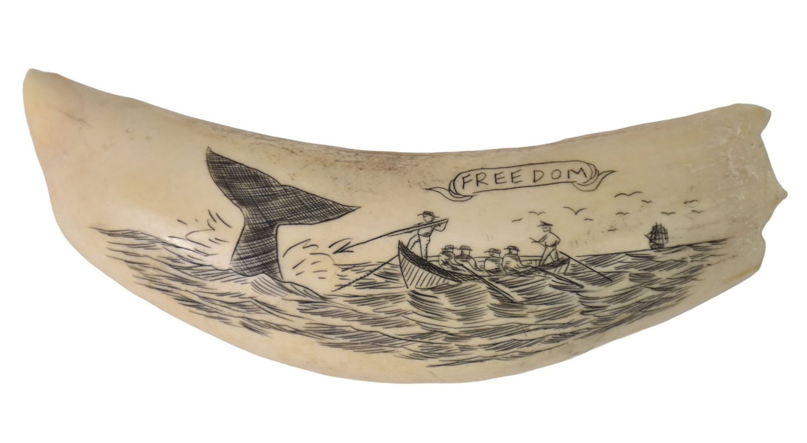 Scrimshaw Whale Tooth "Freedom" - Depicting a figural whale hunting ocean scene. Unsigned. 5" L.: Scrimshaw Whale Tooth "Freedom" - Depicting a figural whale hunting ocean scene. Unsigned. 5" L.