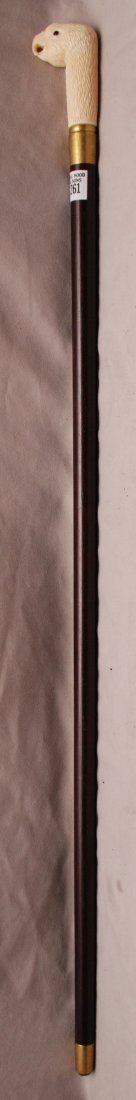Marine ivory parrot handle walking stick, 36"L: Marine ivory parrot handle walking stick, 36"L