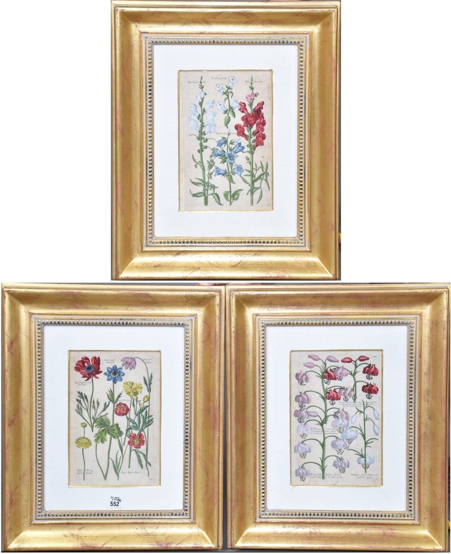 3 Antique Botanical Engravings/etchings, gallery frames, 11 1/4" x 7 1/2" sight, approx 22" x 18" (1 of 13)