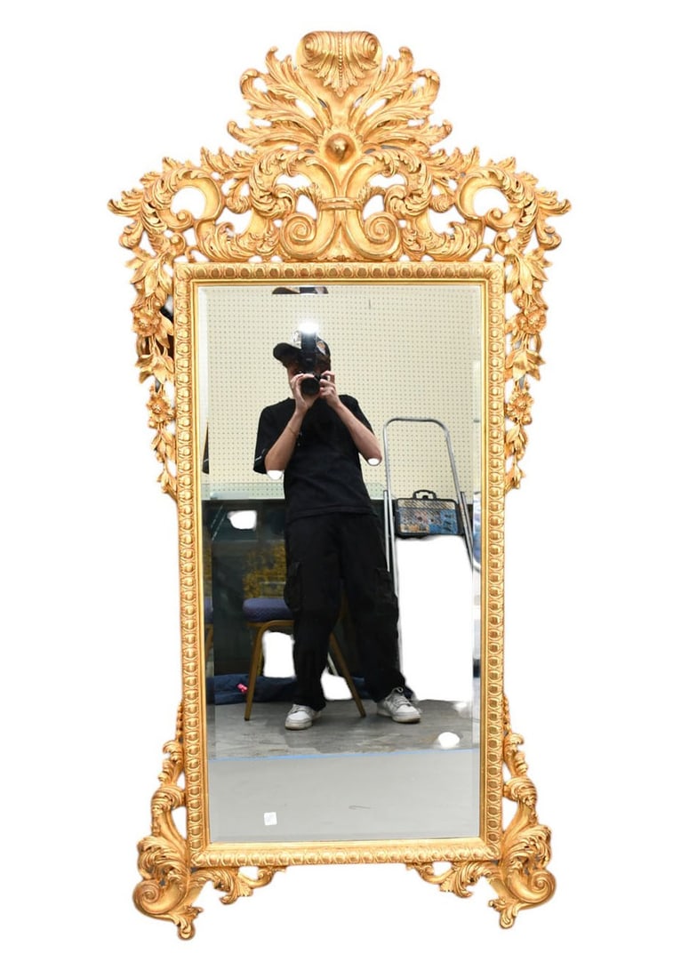 French Style Ornate Giltwood Mirror, Feather & Floral, Model Loi Gio Filpo, 1840, Marbella Light, (1 of 7)