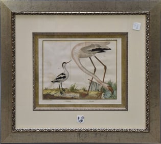 Pair of 18th Century Bird Engravings By Francois Martinet. COA on reverse.  Sight 8-1/2 x 10-1/2