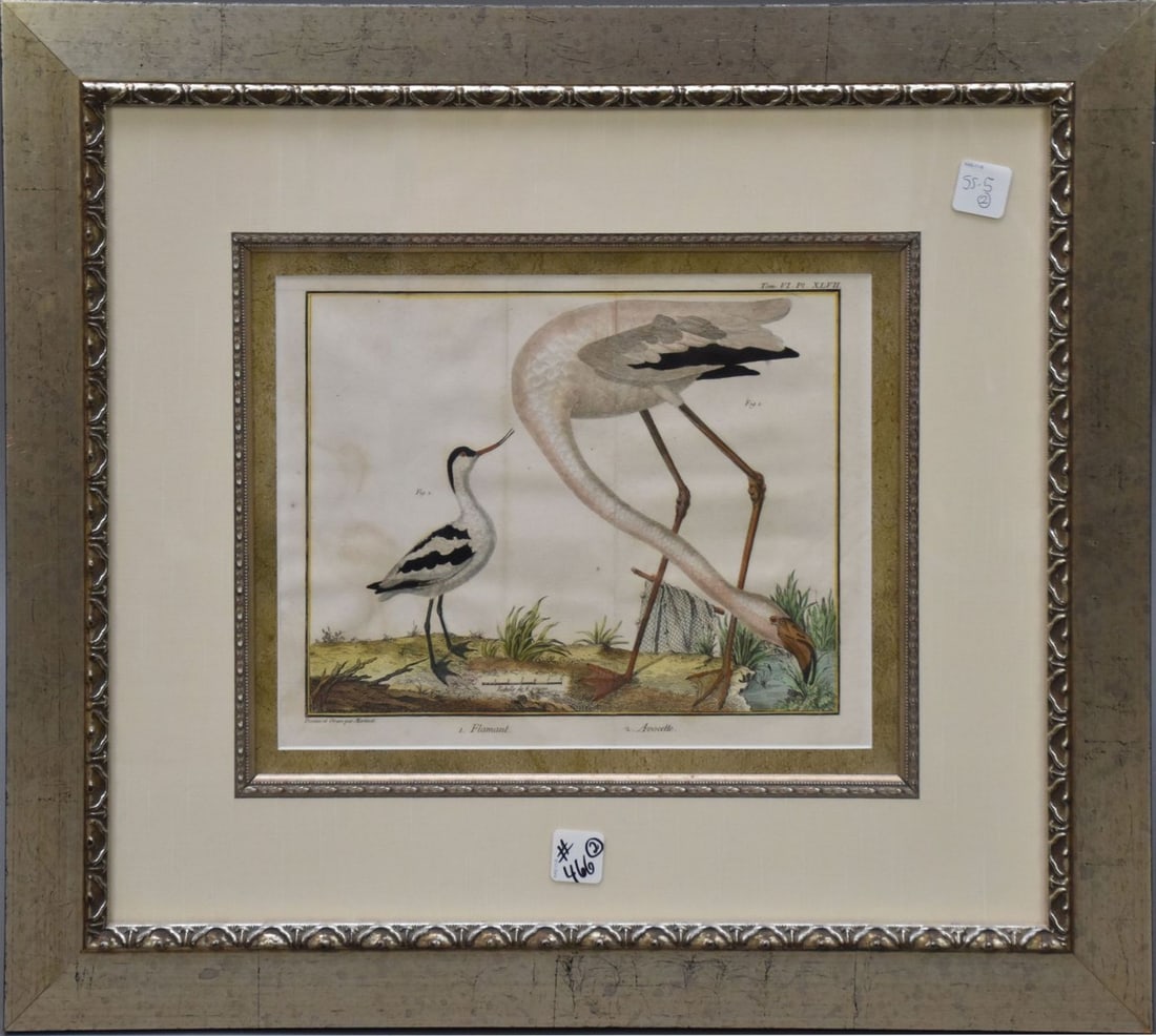 Pair of 18th Century Bird Engravings By Francois Martinet. COA on reverse.  Sight 8-1/2 x 10-1/2 (1 of 13)