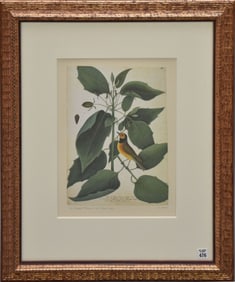 Pair of decorative framed botanical/bird Prints. sight size 14 1/4 x 10 1/4. Overall framed size 29