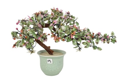 Chinese Jade Tree w/ Celadon Pot - Approx. 13" h x 20" w