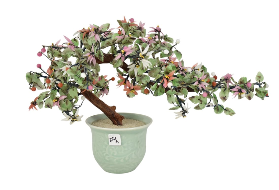 Chinese Jade Tree w/ Celadon Pot - Approx. 13" h x 20" w: Chinese Jade Tree w/ Celadon Pot - Approx. 13" h x 20" w