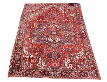 Oriental Carpet / 9.9 x 13 feet