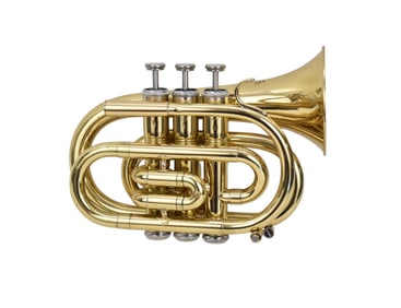 Jean Baptiste Pocket Trumpet with original Case, 5"h x 11"w x 8"d