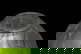 item-210147050=3